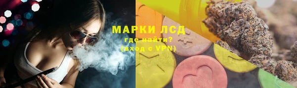 сатива Верхний Тагил