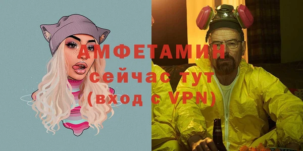 сатива Верхний Тагил