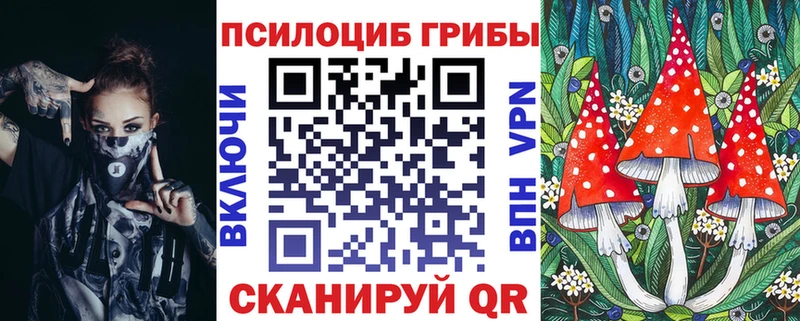 как найти   Гай  Псилоцибиновые грибы GOLDEN TEACHER 